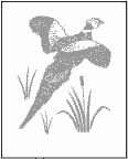Pheasant Stencil Design